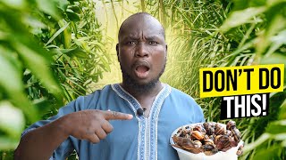 BIG Mistakes Snail Farmers MAKE | Snail Farming Nigeria