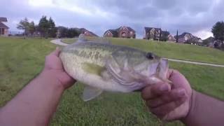 Back at it again and the weather feels great! fall is upon us fishing
awaits. i go solo this time a neighborhood pond close by my house.
my...