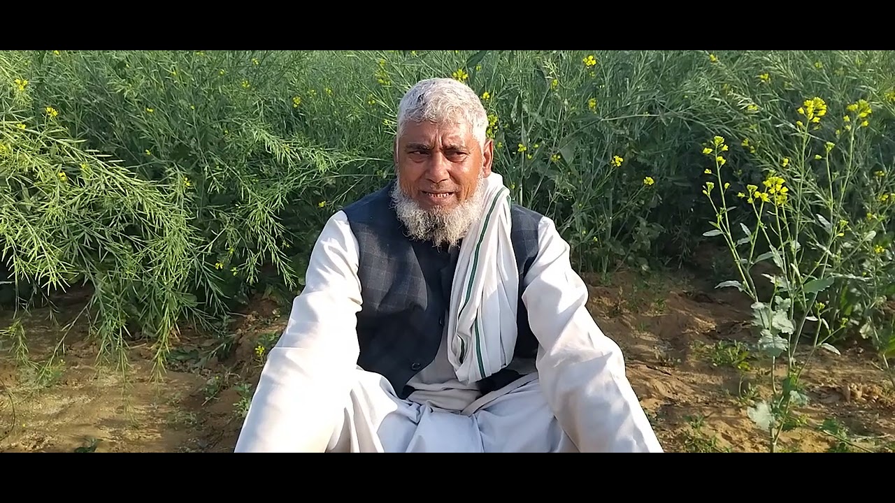 एक लाख को काग @mustak fajjar Jhimrawatiya @#vairalvideo #trndig #miwat #hakkusingariya #saeri #