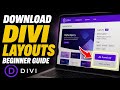 How to download Divi layouts for responsive UI - Beginner Guide