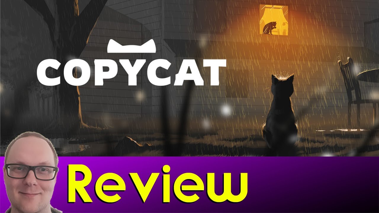 Copycat - Review | Learning To Love Again As A Shelter Cat
