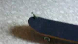 Mantis Skateboarding