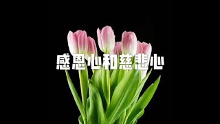 201605 感恩心和慈悲心21438