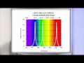 Principles Of Video Lighting Seminar 2 - CRI Color Rendering Index