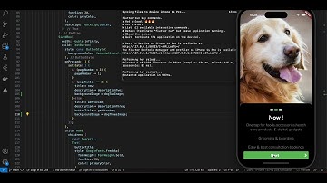 PetCare Flutter Part 1 Getting Started screen