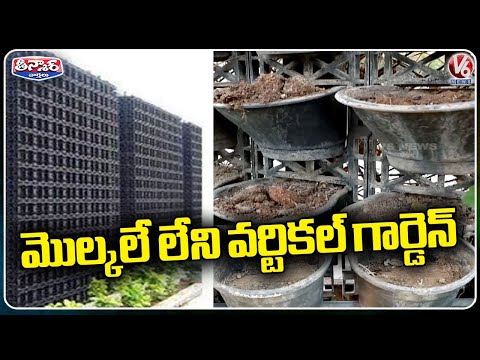 Vertical Gardens Are Becoming More And More Sophisticated Day By Day  | V6 Weekend Teenmaar - V6NEWSTELUGU