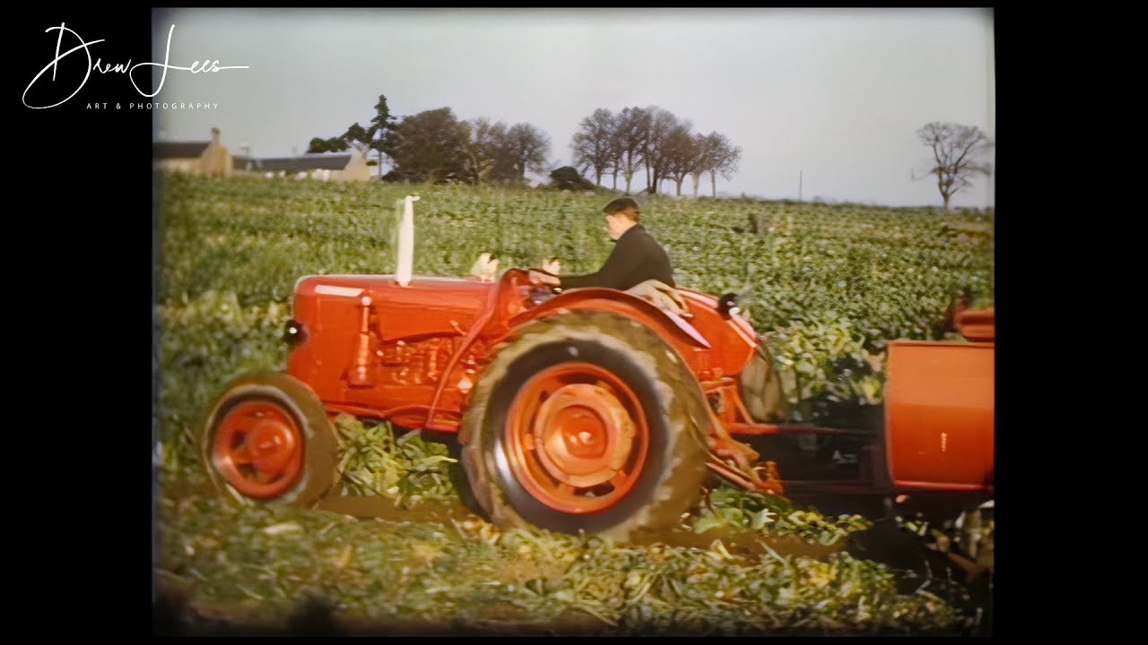 Harvesting Demonstration In East Lothian 1950's - Cropmaster, Fordson, Nuffield, Ferguson, Whitsed