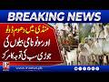 Star Attraction: 'Dolu and Sonu' Become the Talk of the Cattle Market This Eid! | M News Digital