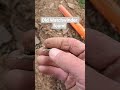 Metal Detecting Wales