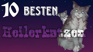 Die 10 besten HEILERKATZEN | Warrior Cats