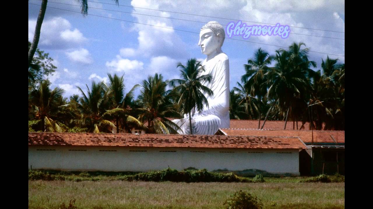 Gypsies and the Sri Lankan Allstars - Our Land [with lyrics]