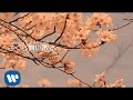 Ailee 「SAKURA」(Lyric Video / Short Ver.)