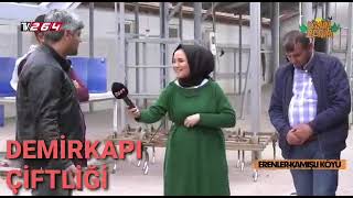264 Tv Demirkapi Çi̇ftli̇ği̇ De