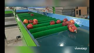 TOP QUALITY | APPLE GRADING MACHINES | SORTING |  +919896091276 |