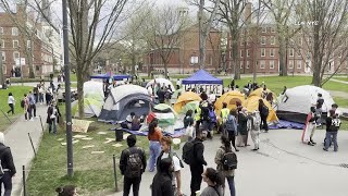 Palestine Encampment at Harvard University / Massachusetts 4.24.24