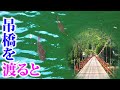 【バス釣り 】秘境を目指して山奥の吊橋を渡ると、そこには・・・・