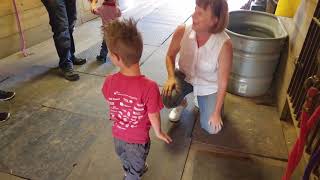 Thomas Feeds Little Sebastian