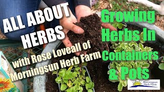 3/8: Growing Herbs in Containers & Pots - Morningsun Herb Farm's 8-video series 'ALL ABOUT HERBS' by Morningsun Herb Farm 48,410 views 4 years ago 59 minutes