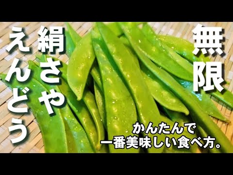 簡単とまらない！やみつき無限さやえんどう(絹さや)時短おつまみレシピ キャベツ