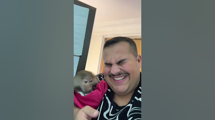 ردة فعل الحيوانات عند المرايا ❤️🤣