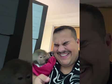 ردة فعل الحيوانات عند المرايا