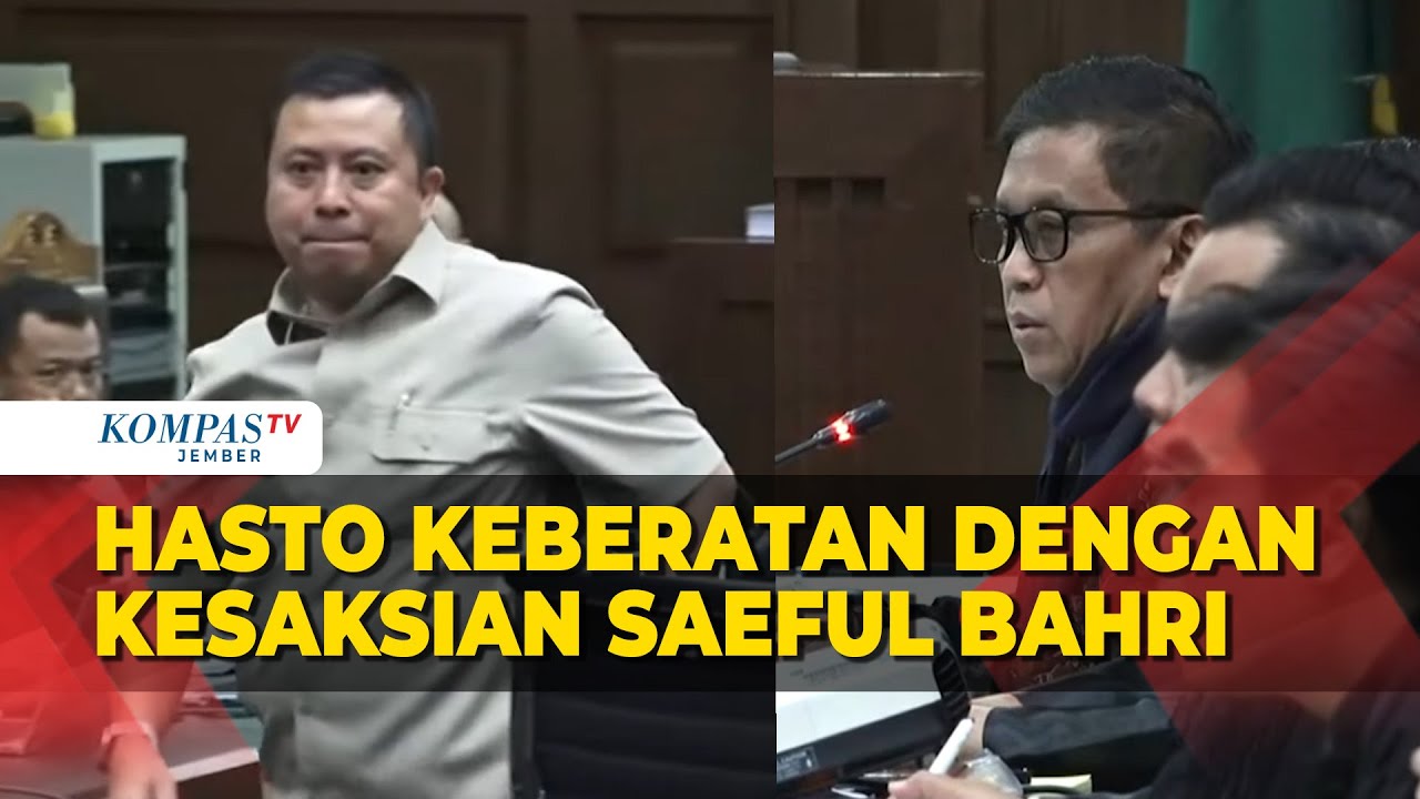 Hasto Keberatan atas Kesaksian Saeful Bahri soal Harun Masiku, Ada Apa?