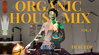 Deep & Organic House 2025 | Melodic, Chill, and Atmospheric Mix | By DJ Suede