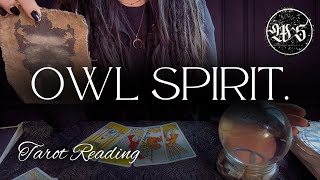 Owl Spirit Animal Message about a confusing tangle of information and how to see the Truth.