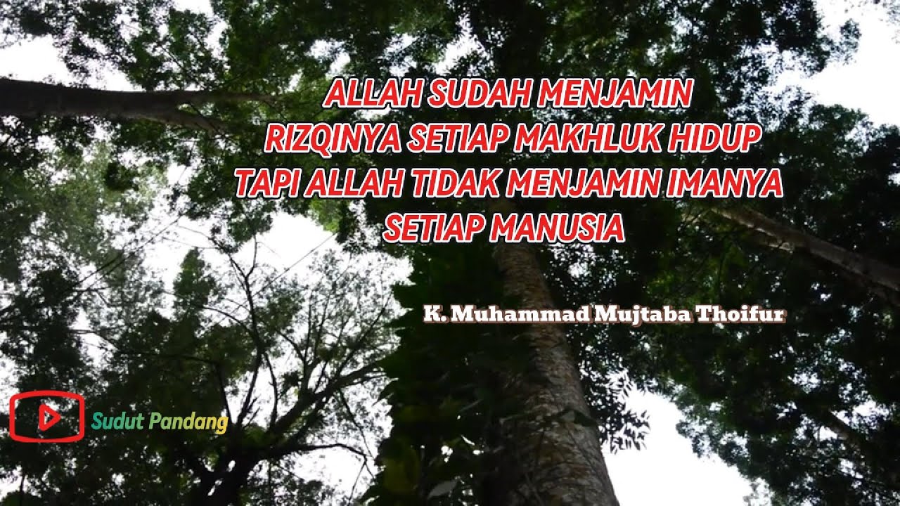 Rutinan Ngaji Hikam Allah Sudah Menjamin Rizqi Setiap Makhluk Tapi ...
