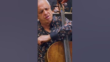 Cello SPECIAL TECHNIQUE lesson 😉❤️ #orchestra #cello #classicalmusic #concert #tutorial