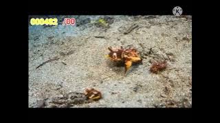 Generic Scoring Karaoke 2011