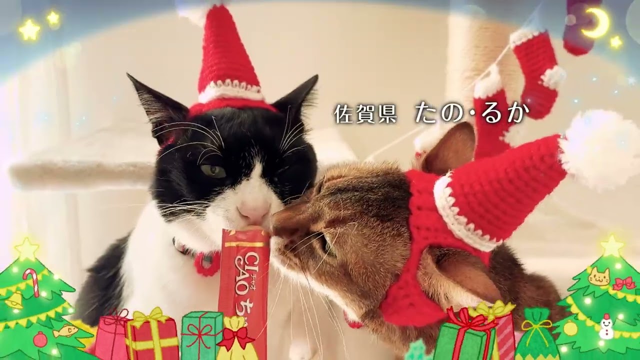 2024年 CIAOちゅ～る クリスマス篇 Part2（いなば食品グループ） - YouTube