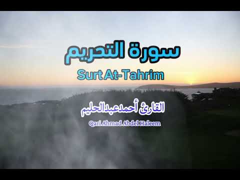سورة التحريم كاملة تلاوة خاشعة تهز القلوب وتدعو للتوبة 