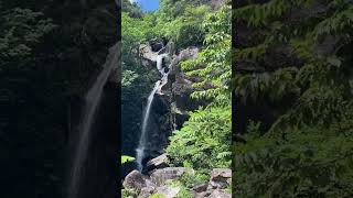 Todoroki Waterfall Park   Okinawa #japan #okinawa #todorokiwaterfallpark