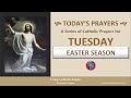 Todays catholic prayers  tuesday  easter season rosary  prayers w podcast audio