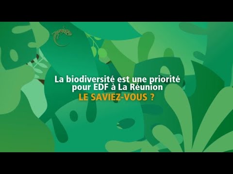 Saviez-vous ? La biodiversité est une priorité pour EDF à la Réunion