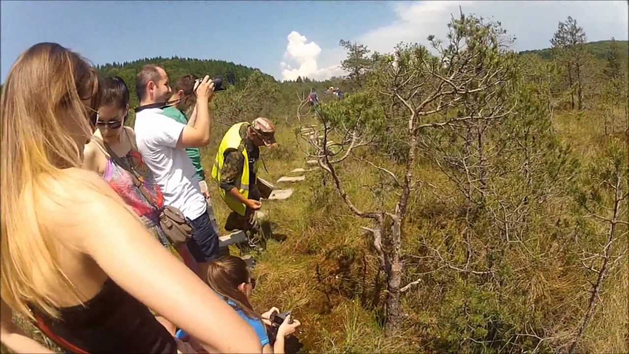 Sf Ana Lake nearby jun 2012 Go Pro HD camera iphone 8 plus apk