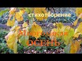 / Многоликая осень / новые стихи и красочное видео об этой поре