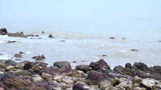 Gentle Ocean Waves | White Noise for Deep Sleep