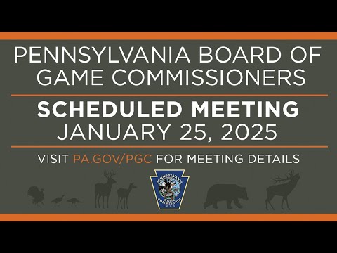 Board of Game