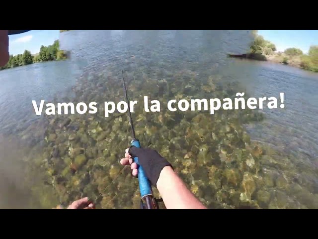 Arcoiris Cazadoras Limay Medio