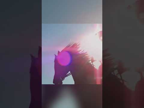 وين النشامي ياما وين الصبايا ياما