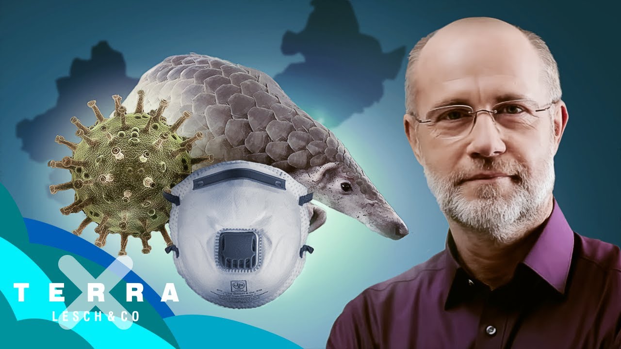 Corona: Was weiß die Wissenschaft? – Leschs Kosmos [Ganze TV-Folge] | Harald Lesch