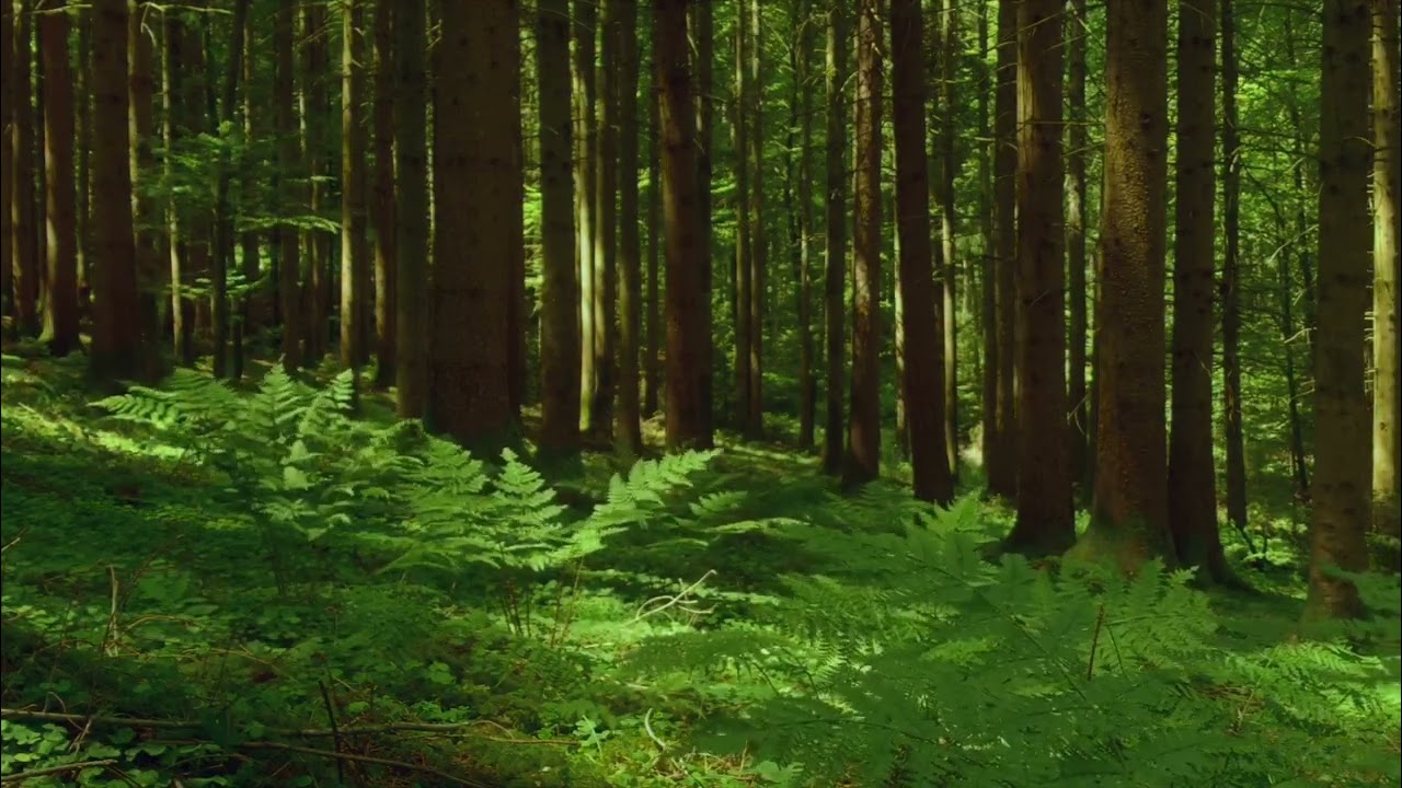 Harmony with Nature.
.
.
.
