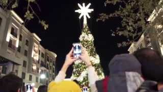 The Lighting of Avalon 2014