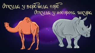 Сказки Редьярда Киплинга "Откуда у верблюда горб" и "Откуда у носорога шкура" | Аудиосказки 0+