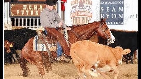 Hal Of A Mate  ***For info, price, etc., go to our website*** Valley View Ranch