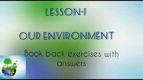 Our Environment- Book back excercises/Unit 1/3rd std/ Term-3/Science/Samacheer syllabus/Tamilnadu