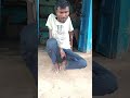 Di Hai Ise Saja Comedy Shubhamee Shubhamee Funny Funnysong Funnysong Ghazale Funnymoment