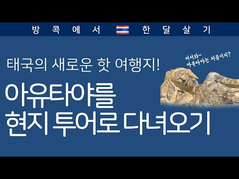 태국에서 핫한 여행지 아유타야! 현지 패키지 투어로 다녀오기! / 방콕을 자유여행만 하다가 패키지는 처음 다녀온 남자